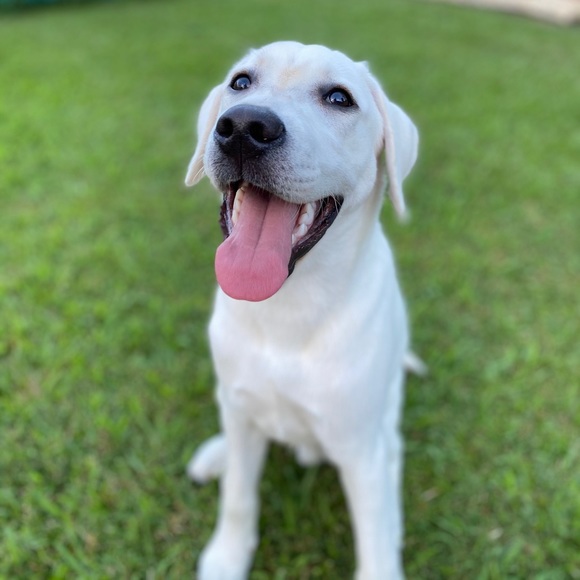 Meet your Posher - Picture 11 of 11